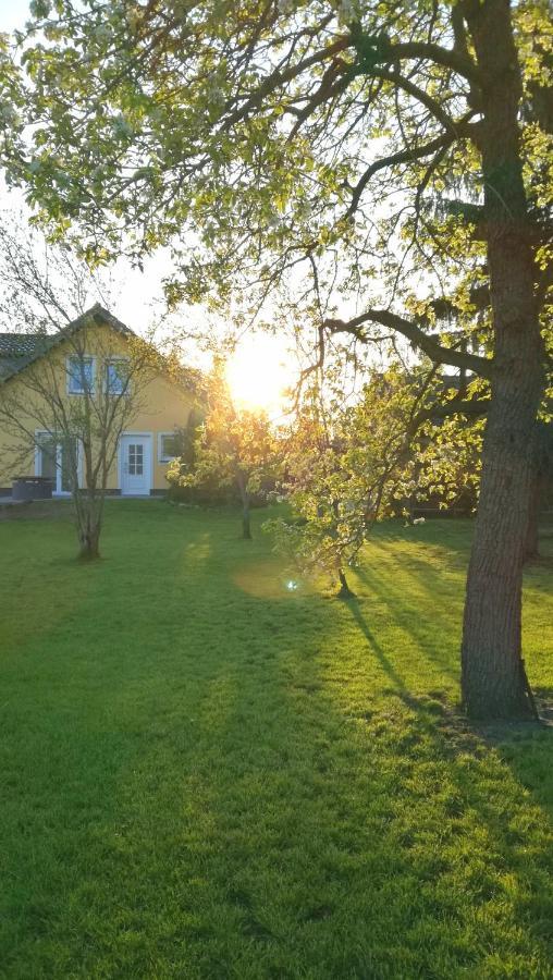 Ferienwohnung Luba Lipa Drachhausen Exteriör bild